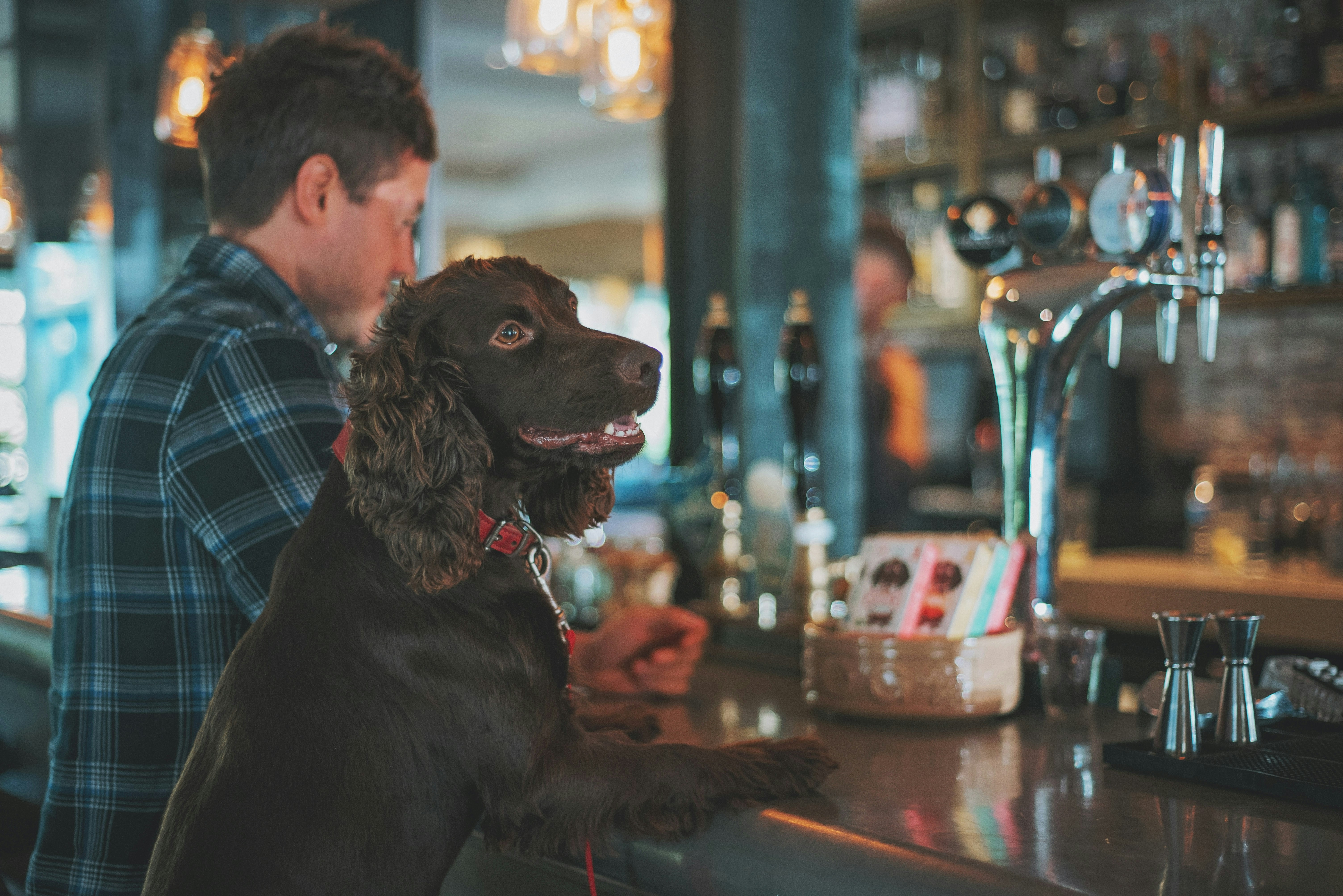 Dog Friendly Pub